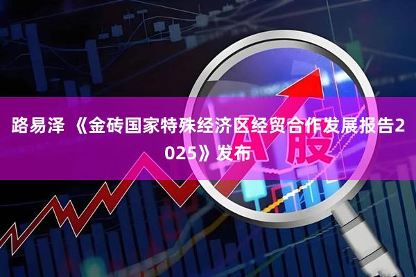路易泽 《金砖国家特殊经济区经贸合作发展报告2025》发布