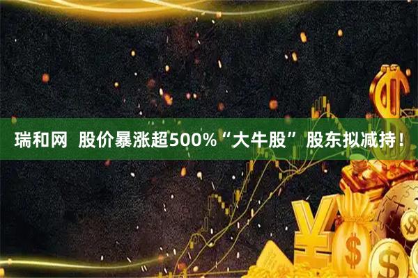 瑞和网  股价暴涨超500%“大牛股” 股东拟减持！