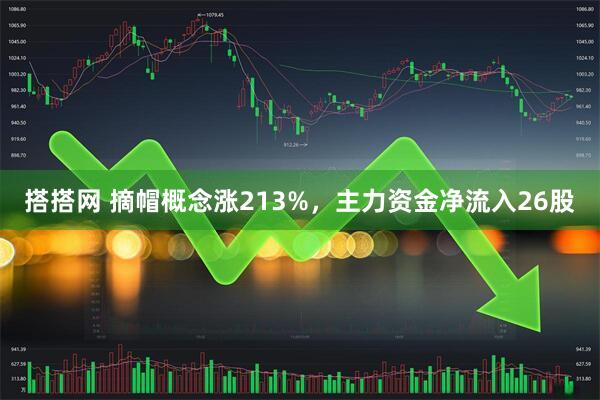 搭搭网 摘帽概念涨213%，主力资金净流入26股